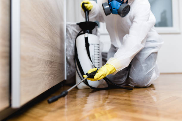 Best Mosquito Control Services  in Salina, UT