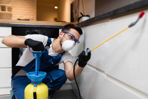 Best Wildlife Control Services  in Salina, UT