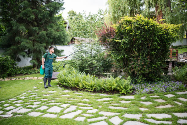 Best Emergency Pest Control  in Salina, UT