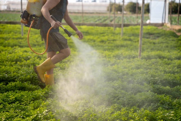 Best Best Pest Control Companies  in Salina, UT