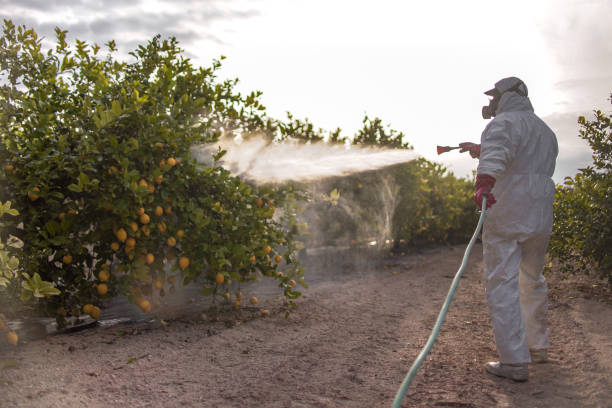 Best Flea Control Services  in Salina, UT