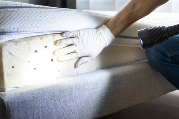 Best Exterminator Services  in Salina, UT