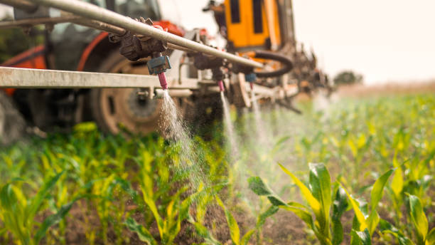 Best Pest Control for Businesses  in Salina, UT