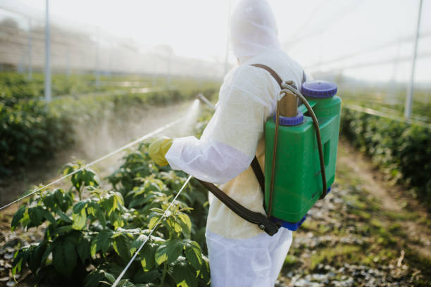 Best Best Pest Control Near Me  in Salina, UT
